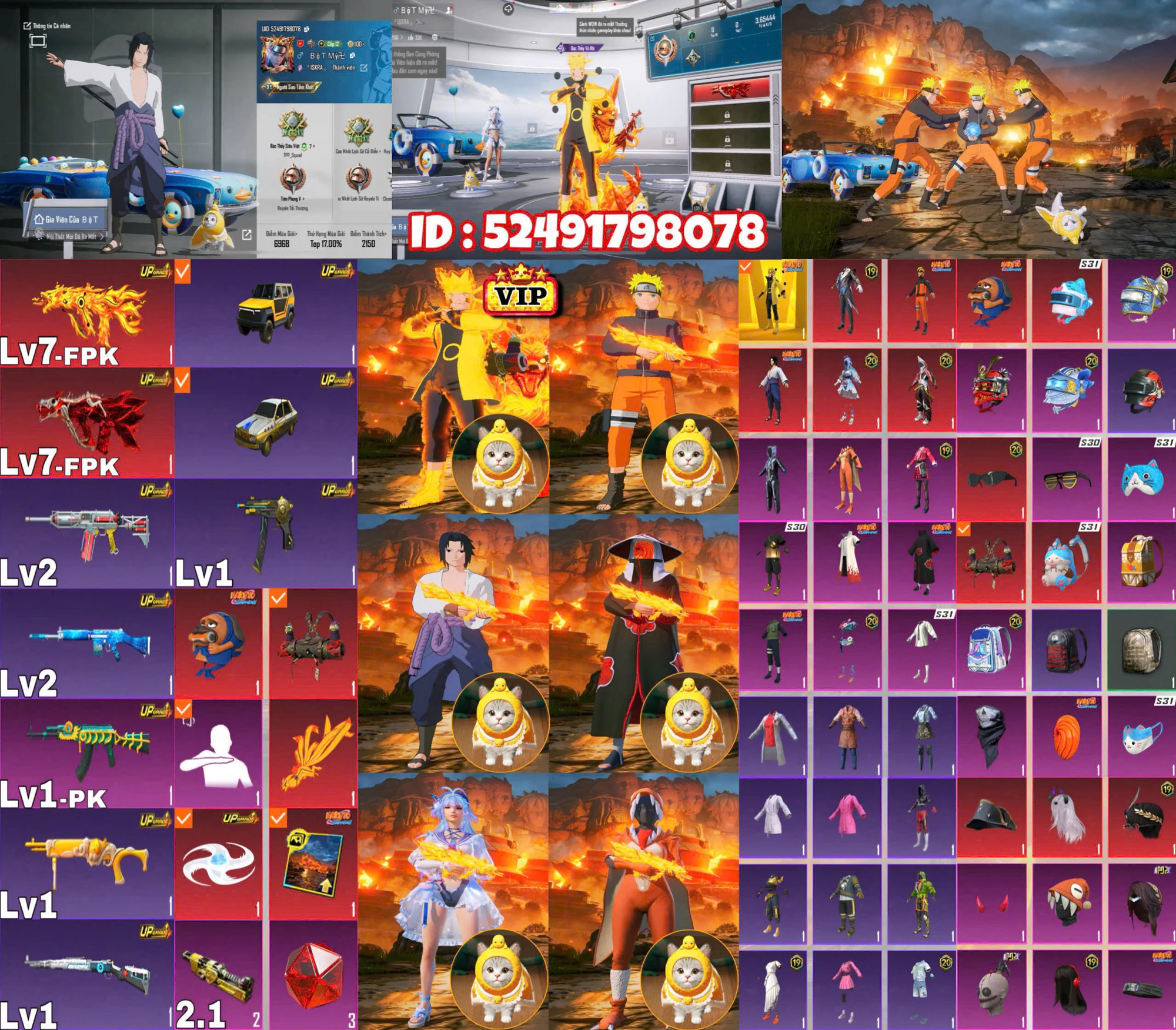 Ảnh tài khoản mã 194