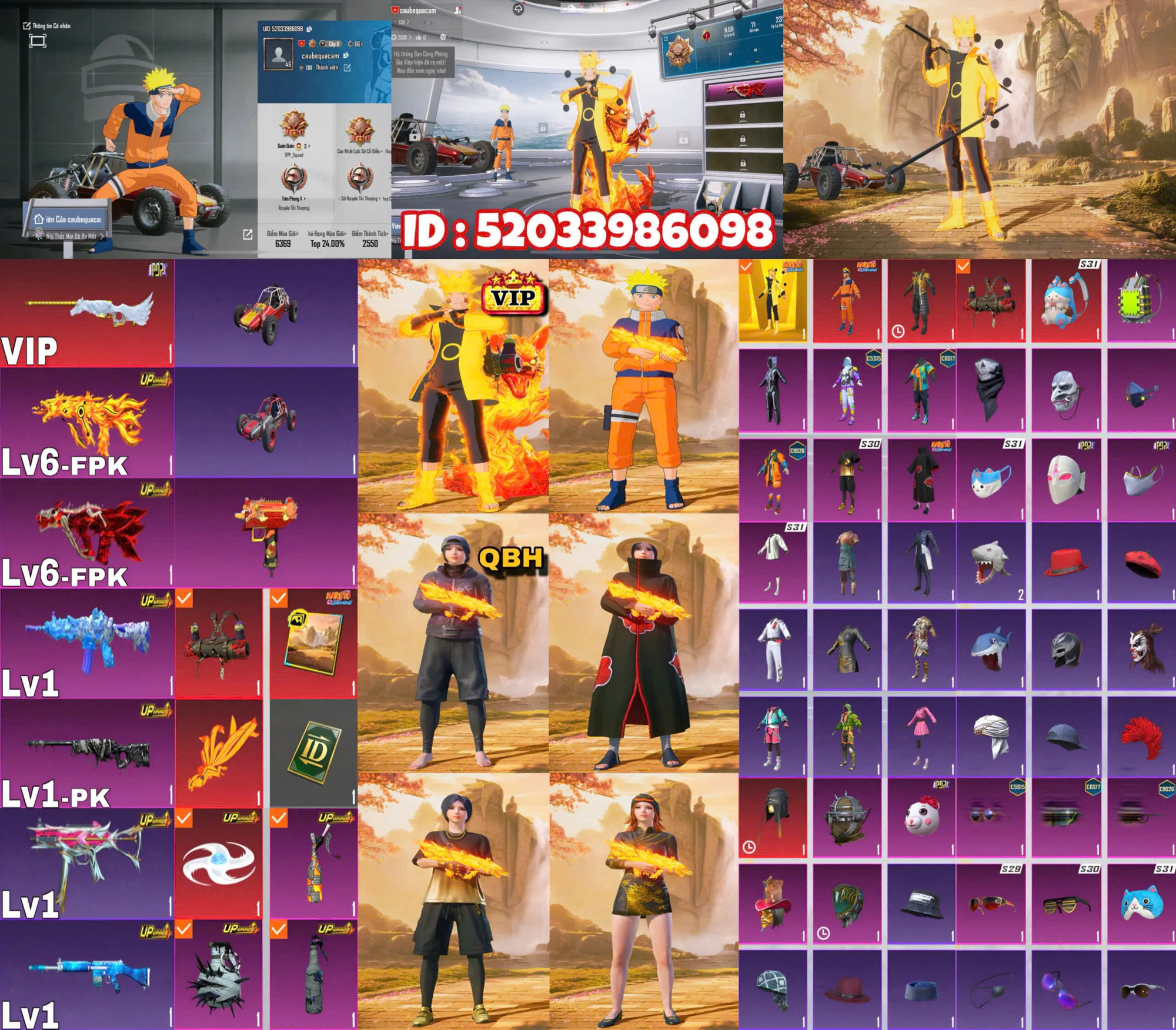 Ảnh tài khoản mã 208