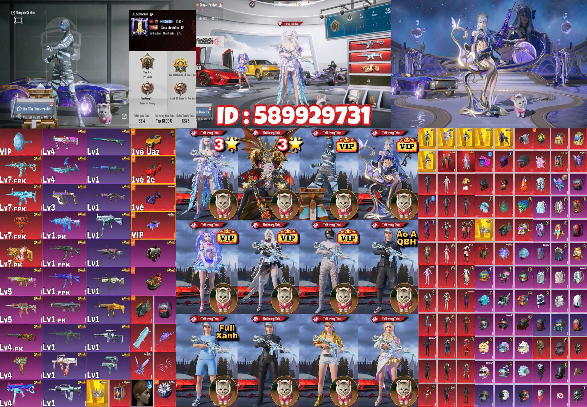Ảnh tài khoản mã 179